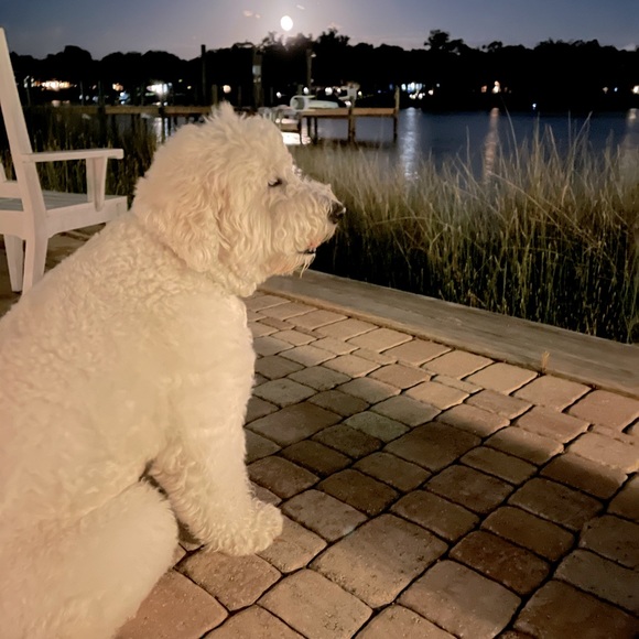 Meet The Vice President π - Picture 7 of 17